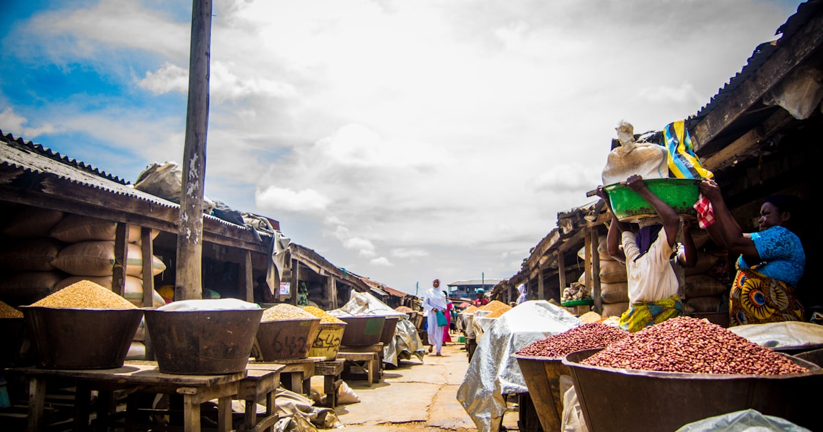 Africa's Economic Future: How a $170 Billion BRICS Plan is Shifting Development