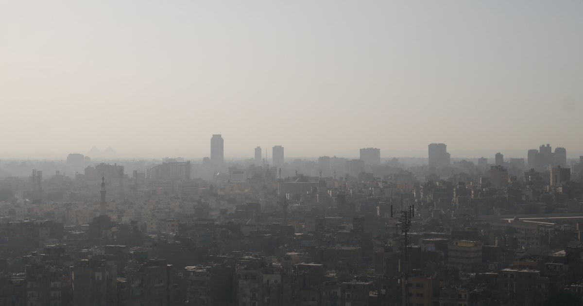 الجنيه المصري ينتعش، ويغذي آمال الاستثمار بعيداً عن دعم صندوق النقد — News