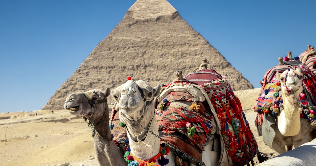 Egypt's Privatization Push Gains Momentum, Attracting Fresh Capital