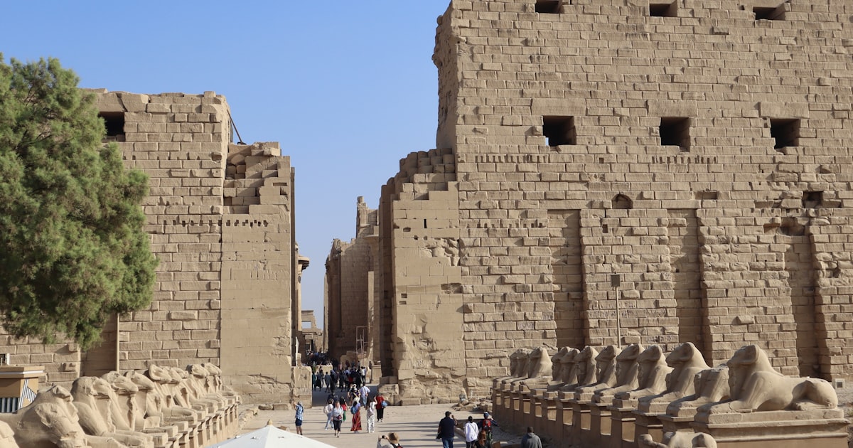 مصر تعزز شبكات الأمان الاجتماعي بزيادة المعاشات والتحول للدعم النقدي